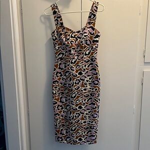 Leopard Print Dress - Jcrew